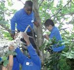 Building Futures: Believing in children - A focus on provision for Black children in the Early Years Foundation Stage - Birth To 5 Matters