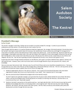 Salem Audubon Society The Kestrel