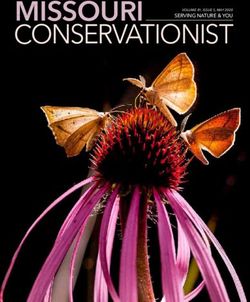 MISSOURI CONSERVATIONIST - SERVING NATURE & YOU - Missouri Department of ...