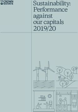 Sustainability: Performance against our capitals 2019/20 - The ...