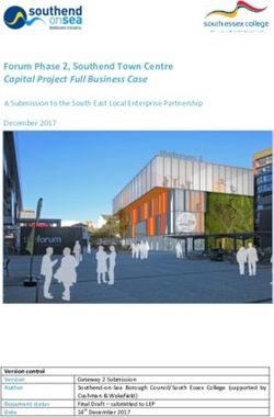 Forum Phase 2, Southend Town Centre Capital Project Full Business Case