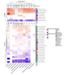 Early response of methanogenic archaea to H2 as evaluated by metagenomics and metatranscriptomics