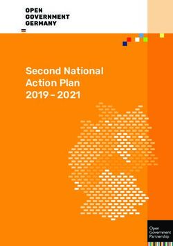 Second National Action Plan 2019 2021 - Versatz 7,4 mm (3,7) - Open Government ...