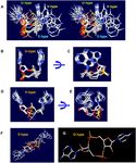 SURVEY AND SUMMARY Cyclic di-AMP, a second messenger of primary importance: tertiary structures and binding mechanisms