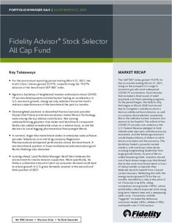 Fidelity Advisor Stock Selector All Cap Fund