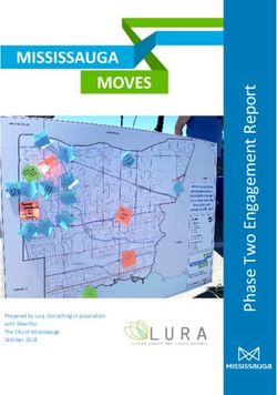 Prepared by Lura Consulting in association with Steer for: The City of Mississauga October 2018