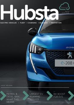 PETROL & DIESEL BAN 06 - 07 LARGEST EV ROAMING - Elmtronics