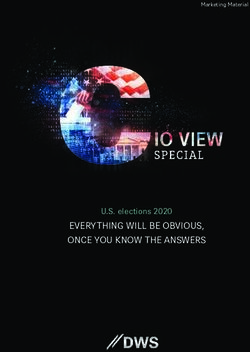 EVERYTHING WILL BE OBVIOUS, ONCE YOU KNOW THE ANSWERS - U.S. elections 2020 - Marketing Material - DWS.com