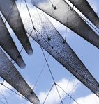 DISCOVER PARRAMATTA - Your official guide to Parramatta and beyond - NSW Government