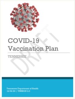 COVID-19 Vaccination Plan - TENNESSEE Tennessee Department of Health 12/02/20 | VERSION 2.0 - TN.gov