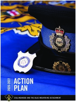 ACTION PLAN COLLINGWOOD AND THE BLUE MOUNTAINS DETACHMENT
