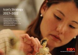 Icon's Strategy 2017-2022 - On 24 June 2020 Icon's Board of Trustees took the decision to extend this Strategy to 2022 to take account of the ...