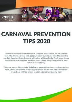 CARNAVAL PREVENTION TIPS 2020 - Ennia