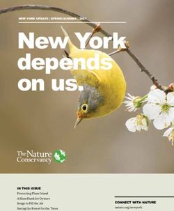 New York depends on us - IN THIS ISSUE Protecting Plum Island A Slam Dunk for Oysters Songs to Fill the Air Saving the Forest for the Trees - The ...