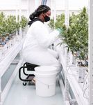 JOINING FORCES: STRONG PARTNERSHIPS BUILD AN INNOVATIVE CANNABIS GROW - Case Study