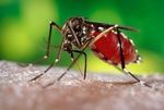 WEEKLY EPIDEMIOLOGY BULLETIN - Ministry of Health