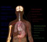 WEEKLY EPIDEMIOLOGY BULLETIN - Ministry of Health