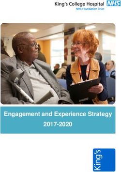 Engagement and Experience Strategy 2017-2020