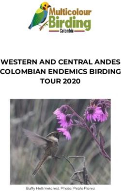 WESTERN AND CENTRAL ANDES COLOMBIAN ENDEMICS BIRDING TOUR 2020 - Buffy Heltmetcrest. Photo: Pablo Florez