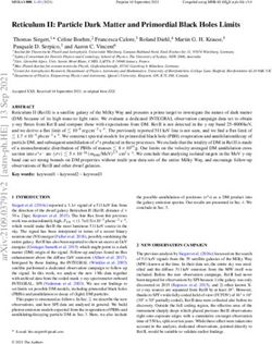 Reticulum II: Particle Dark Matter and Primordial Black Holes Limits