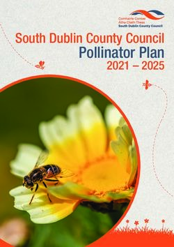 Pollinator Plan South Dublin County Council
