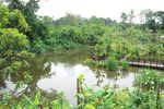 THE GARDENS OF SINGAPORE - ENTHUSING AND EDUCATING THE PUBLIC IN THE WORLD OF PLANTS - Royal Botanic Garden ...