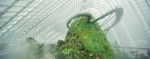 THE GARDENS OF SINGAPORE - ENTHUSING AND EDUCATING THE PUBLIC IN THE WORLD OF PLANTS - Royal Botanic Garden ...