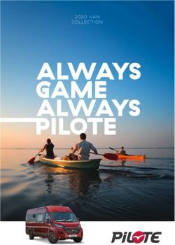 2020 VAN - DELUXE RV GROUP