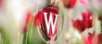 GRADUATION CELEBRATION - Class of 2021 - School of Pharmacy - UW-Madison School of Pharmacy
