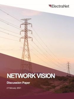 NETWORK VISION Discussion Paper - 2 February 2021 - ElectraNet