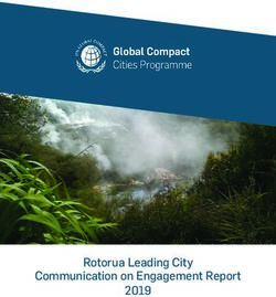 Rotorua Leading City Communication on Engagement Report 2019