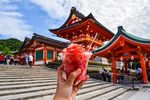 Key trends in culinary tourism - Insight into the key trends in culinary tourism, the profile of culinary travelers and what the future holds for ...