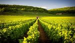 Key trends in culinary tourism - Insight into the key trends in culinary tourism, the profile of culinary travelers and what the future holds for ...