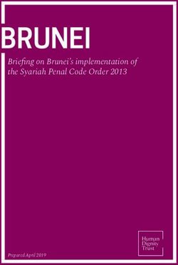 BRUNEI Briefing on Brunei's implementation of the Syariah Penal Code Order 2013 - Prepared April 2019