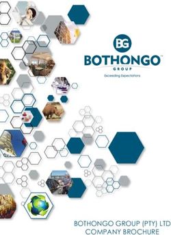 BOTHONGO GROUP (PTY) LTD COMPANY BROCHURE