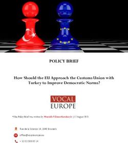 POLICY BRIEF How Should the EU Approach the Customs Union with Turkey to Improve Democratic Norms? - Vocal Europe