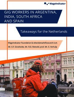 GIG WORKERS IN ARGENTINA, INDIA, SOUTH AFRICA AND SPAIN - Takeaways for the Netherlands