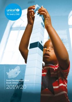 2019/20 Social Development Brief South Africa - UNICEF