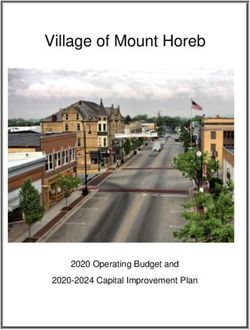 Village of Mount Horeb - 2020 Operating Budget and 2020-2024 Capital Improvement Plan