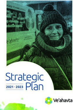 Strategic Plan 2021 2023 - Ve'ahavta