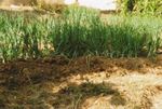 The Ursuline Sisters' Ministries in Kenya - St Josephs Church ...