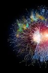 Challenges multiply: maintaining balance in a changing world - Central Europe CFO Survey - Deloitte