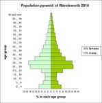 Wandsworth Sexual Health Needs Assessment draft March 2015 - DataWand