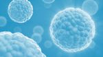 2021 our pluripotent year - cloudfront.net