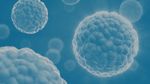 2021 our pluripotent year - cloudfront.net