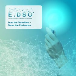 Lead the Transition - Serve the Customers - E.DSO