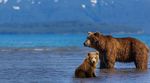 Alaska & Inside Passage Cruise - JULY 7 - 19, 2020 - Holiday Vacations