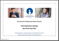Child Exploitation Strategy April 2018-April 2021 - Gloucestershire Safeguarding Children Executive