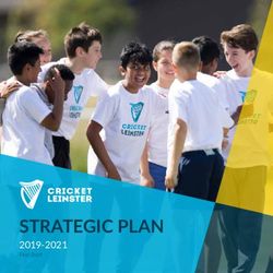 STRATEGIC PLAN 2019-2021 Final Draft - Gorey Cricket Club