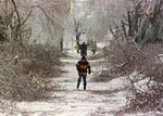 The Role of PEO in the Climate Crisis Issue: Mitigating and Adapting Infrastructure for Climate Resiliency - David Lapp FCAE FEC P. Eng., Senior ...